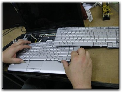 Ремонт клавиатуры на ноутбуке Toshiba в Киеве